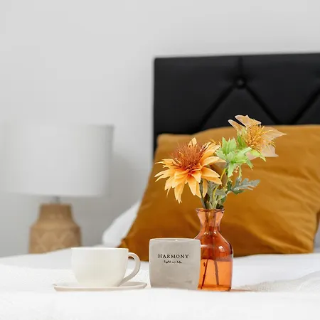 Apartament Cozy In Center By Renters Katowice